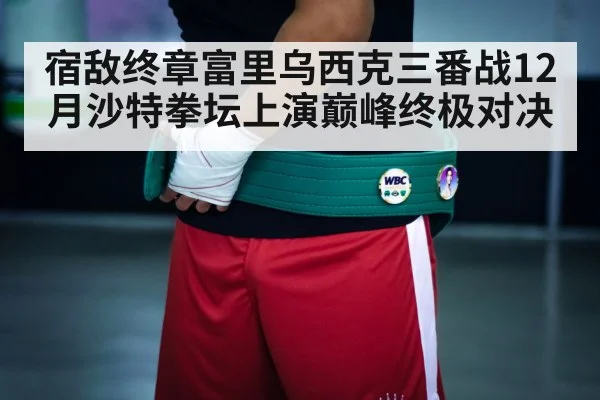 boxing championship belt